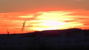 Gulf Coast Sunset